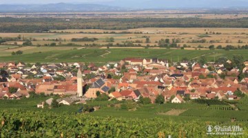 Alsace Header DrinkMemag.com Drink Me Alsation Wine