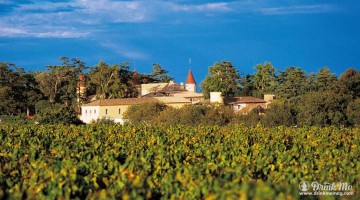 drinkmemag.com drink me wine in burgundy