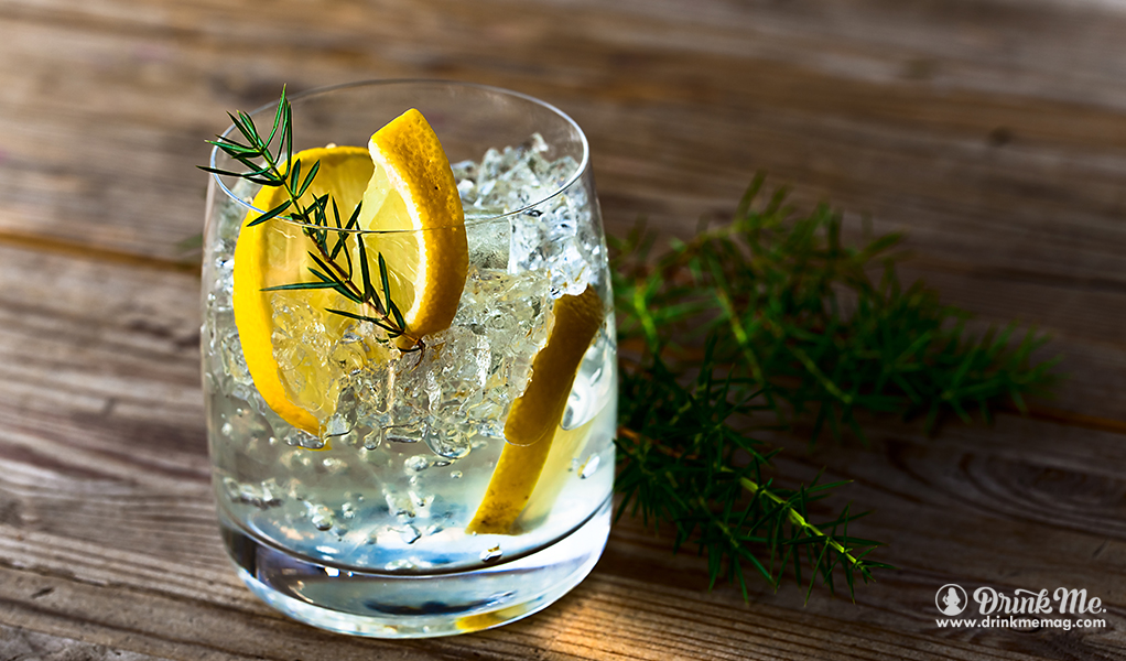 4 of the Top London Dry Gins Drink Me