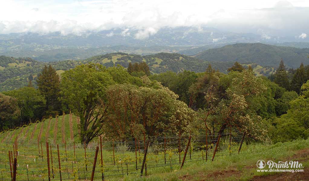 Healdsburg Winery Guide Best Wineries in Healdsburg drinkmemag.com drink me gustafson