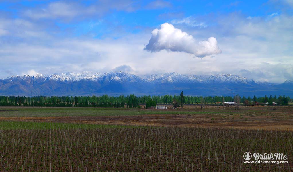 Patagonia Unusual Wine Regions drinkmemag.com drink me