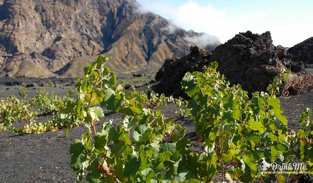 Unusual Wine Regions drinkmemag.com drink me cape verde
