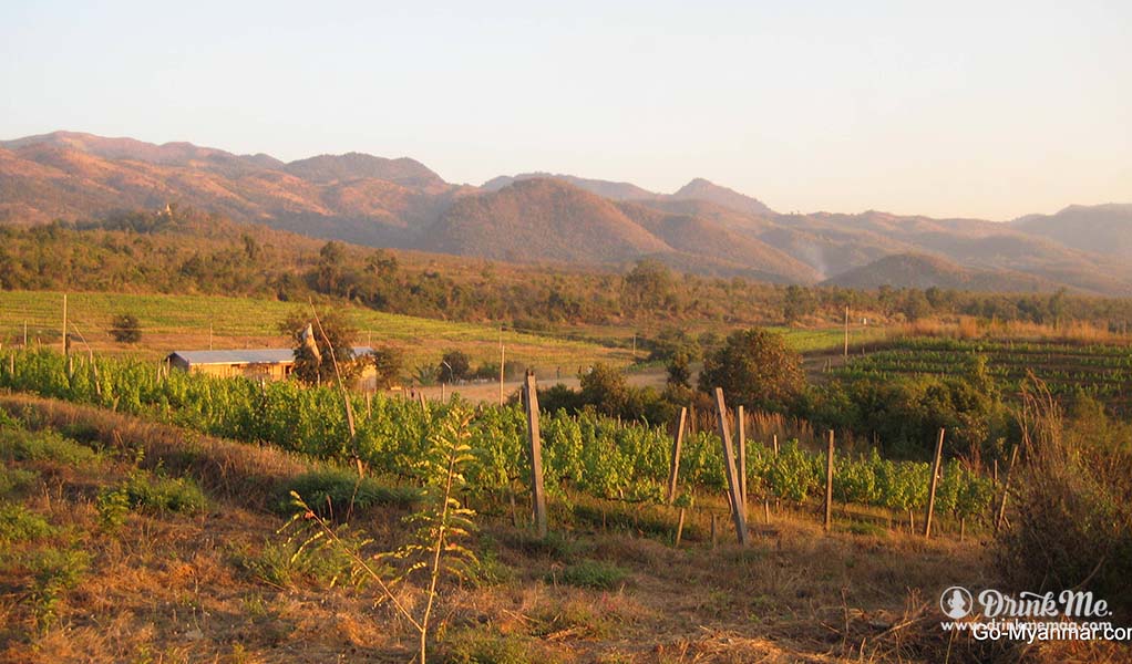 Unusual Wine Regions drinkmemag.com drink me red mountain estate vineyard
