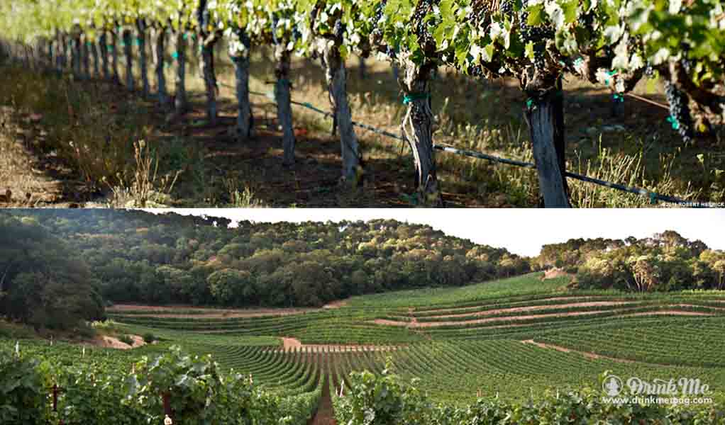 Gandona Winery drinkmemag.com drink me napa valley awards