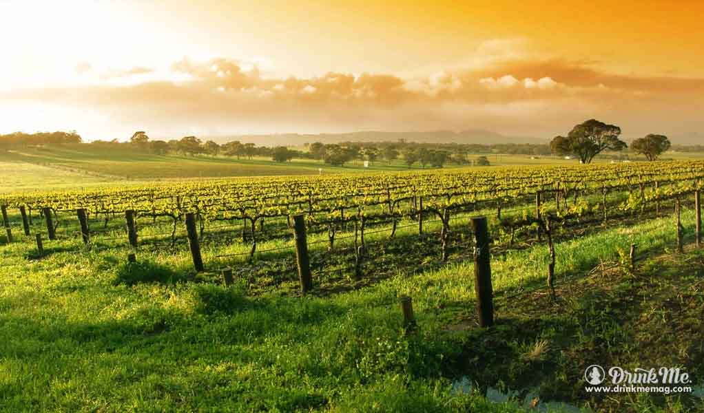 Guide To Napa Valley Drinkmemag.com drink me 3