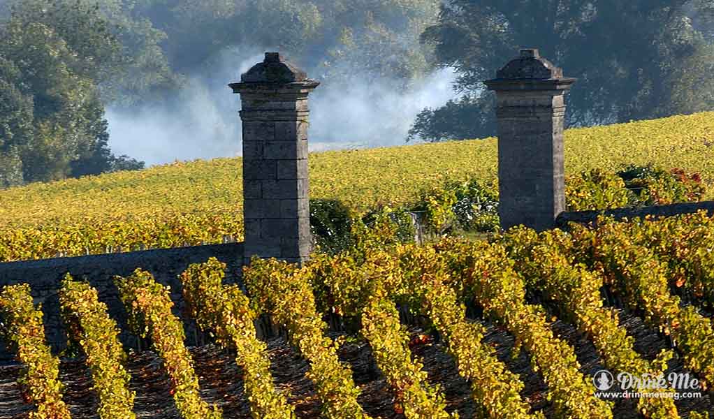drinkmemag.com bordeaux everyday vordeaux wine millennial cheap bordeaux wine drink me 17