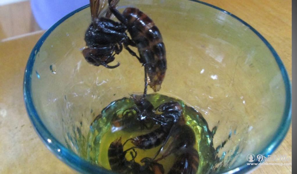 Giant Hornet Vodka drinkmemag.com drink me insects in drinks weird alcohol