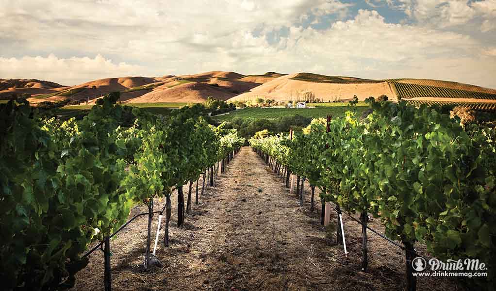 Artesa Winery Christmas 2022 Artesa: Spanish Legacy In Carneros Napa Valley | Drink Me Magazine