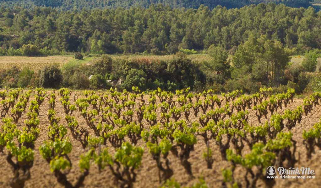 Cremant de Limoux